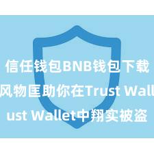 信任钱包BNB钱包下载 5个风物匡助你在Trust Wallet中翔实被盗