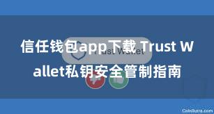 信任钱包app下载 Trust Wallet私钥安全管制指南