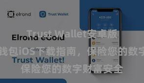 Trust Wallet安卓版下载 信任钱包iOS下载指南，保险您的数字财富安全