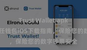 Trust Wallet apk官方下载 信任钱包iOS下载指南，保险您的数字钞票安全