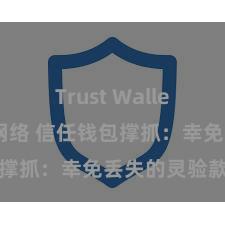 Trust Wallet无法连接网络 信任钱包撑抓：幸免丢失的灵验款式